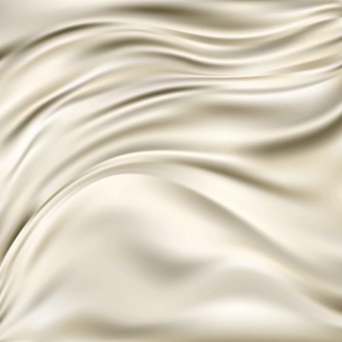 silk-top.png